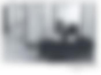 Don't trust (preview)
