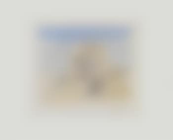 Paranoic village (preview)
