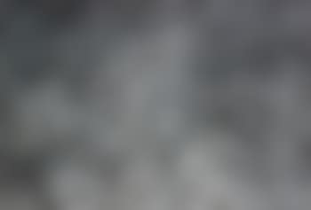 Untitled (neg #6900) (preview)