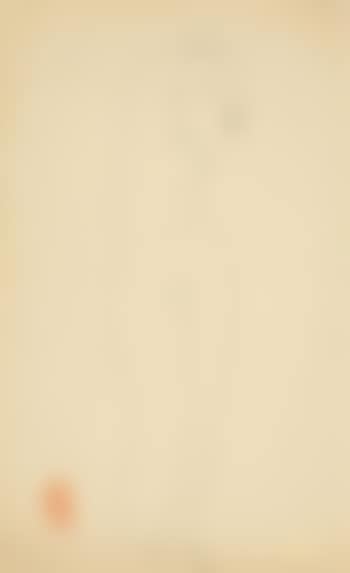 Nude (preview)