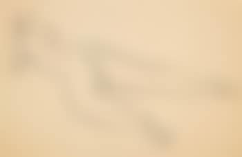 Nude (preview)
