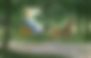 A drive in the park (preview)