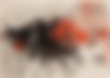 Composition (preview)