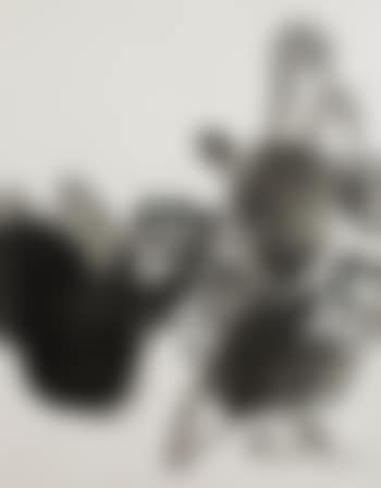 Composition (preview)