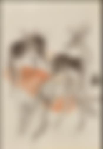 Drei weibliche Antilopen (preview)
