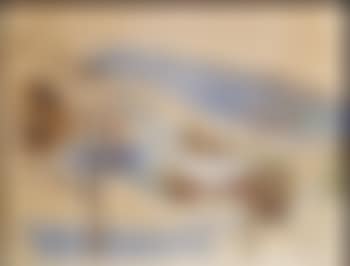 Aus dem Wienerwald (preview)