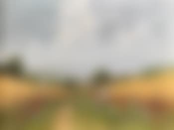 Open Landscape with Lake, Poppies and decorative figure in the foreground (preview)