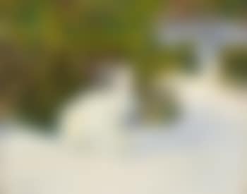 Vinterhare (preview)