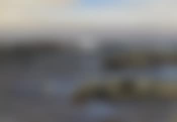 Ejdrar på kobbe (preview)