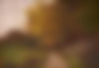 Une Marche De Dame (preview)