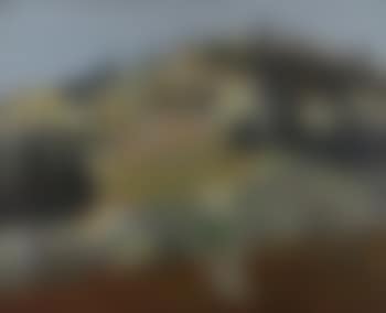 Oliviers à Fiesole (preview)