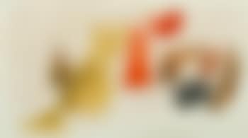 8.3.63 K (preview)