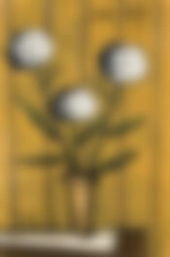 Hortensias blancs (preview)