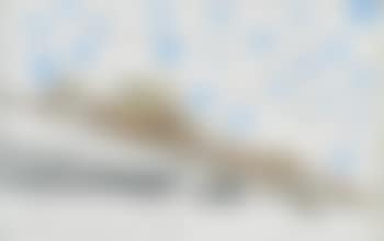 Ohne Titel (preview)