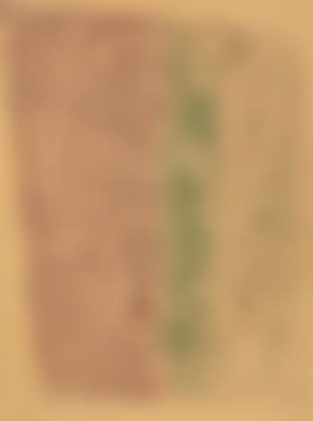 Drei Gesichter (preview)