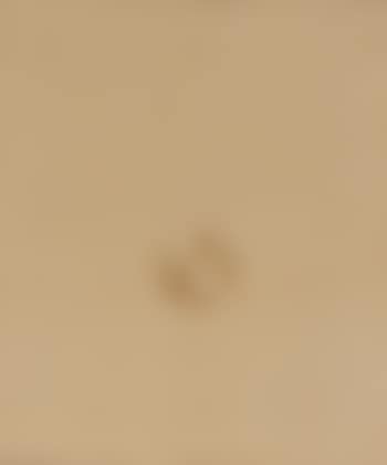 Waterdrops P.A 84010 (preview)