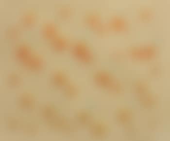 Waterdrops SN2014013 (preview)