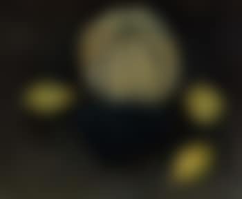 Still life with pumpkin (preview)