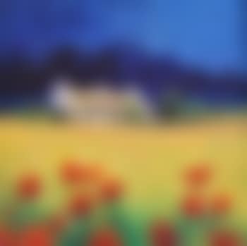 Poppies in corn, Connemara (preview)