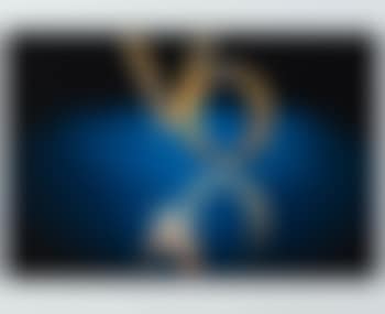 Untitled (Label) (preview)