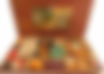 Autoportrait au violoncelle (preview)