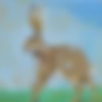 Irish hare (preview)