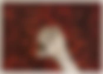 Mano Blanco (preview)