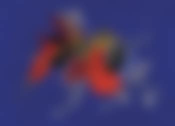 Composizione con collage blu (preview)