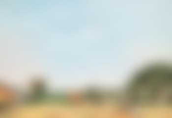 Paysage (preview)