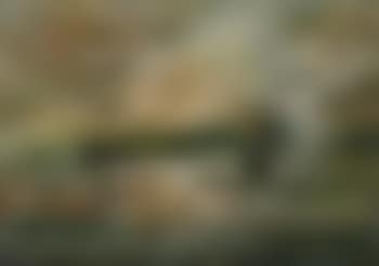 Marine avec bateaux (preview)