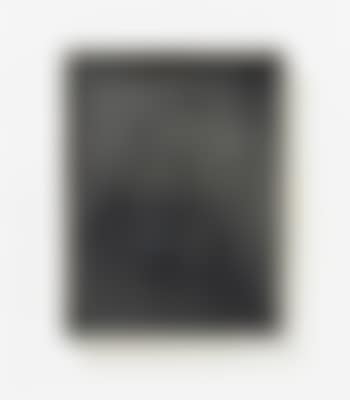 Ohne Titel (Zebras) (preview)