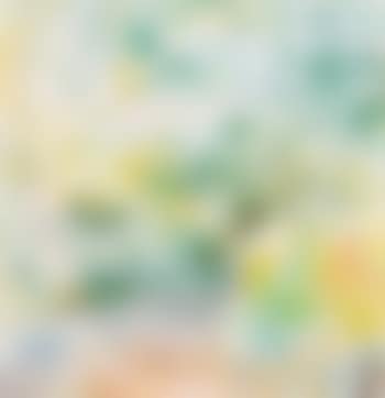 Paisaje (preview)