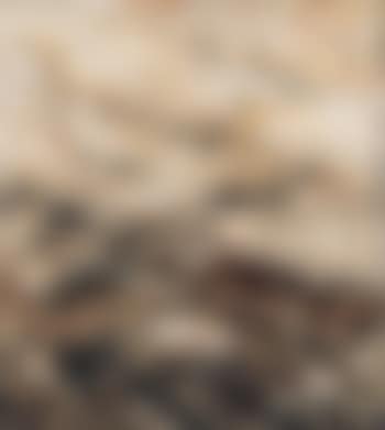 Camino viejo (preview)