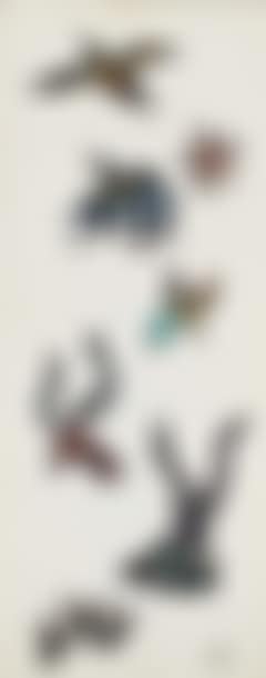 Oiseaux et animaux (preview)
