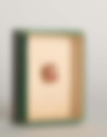 Personnage (preview)