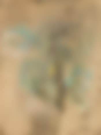 Composition (preview)