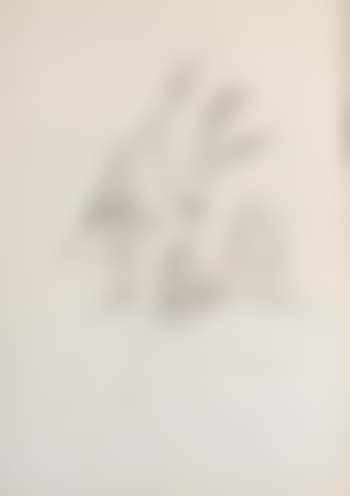 Composition (preview)