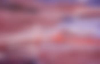 Yam Dreaming (preview)