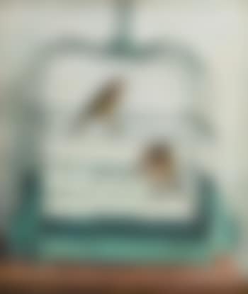 Birds (preview)