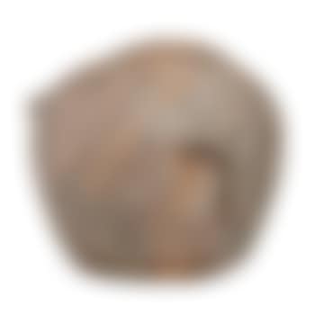 Rare bisque peach novelty (preview)