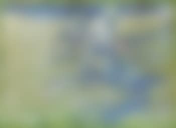 Schnitter (preview)