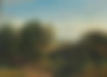 Parti fra Vissenbjerg (preview)