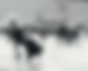 Skaters on Peblingesøen by Søpavillionen, Copenhagen (preview)