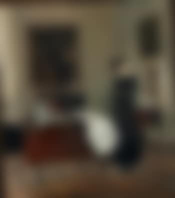 The painter's wife in their home reading a book (preview)