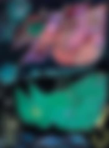 Nattens Fugle (preview)