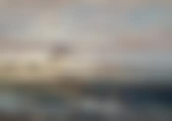 Geese In The Field (preview)