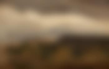 "Plateaux Boises" (preview)