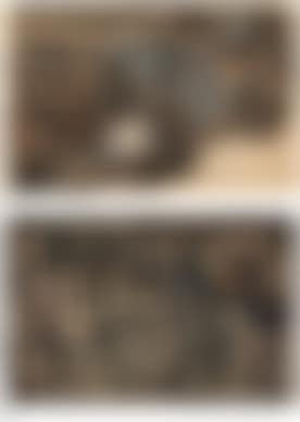 Untitled; Untitled (preview)