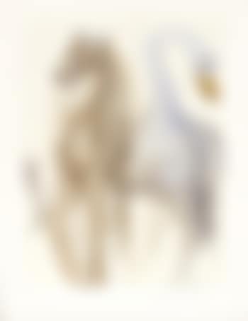 The obsequies for Clorinda; La femme cheval; La chimère d'Horace (preview)
