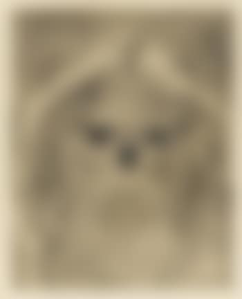 Pekinois (preview)